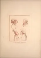 Picture 9 of 45 from Original designs of the most celebrated masters of the Bolognese, Roman, Florentine, and Venetian schools; comprising some of the works of Leonardo da Vinci, the Caracci, Claude Lorraine, Raphael, Michel Angelo, the Poussins, and others, in His Majesty's collection; (1812), leaf 96