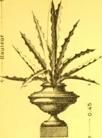 An illustration from Ornements pour l'architecture en zinc, cuivre, tole & plomb : travaux d'art sur dessins croquis & devis. (1912)