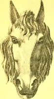 An illustration from Ornements pour l'architecture en zinc, cuivre, tole & plomb : travaux d'art sur dessins croquis & devis. (1912)