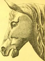 An illustration from Ornements pour l'architecture en zinc, cuivre, tole & plomb : travaux d'art sur dessins croquis & devis. (1912)
