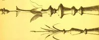 An illustration from Ornements pour l'architecture en zinc, cuivre, tole & plomb : travaux d'art sur dessins croquis & devis. (1912)