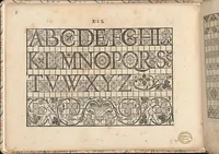 An illustration from La vera perfettione del disegno di varie sorti di ricami,... (1557)