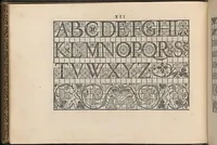 An illustration from La vera perfettione del disegno di varie sorti di ricami,di cucire ogni sorte di puntifogliami, punti tagliati, puntifili,rimessi, punti incrociati, puntistuora,ogn'altra arrte [!] che dia operadisegni. Fatto nuovamente per Giovanni Ostaus. (1567)
