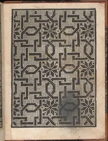 Picture 14 of 17 from Il spechio di pensieri delle belle et virtudiose donne dove si vede varie sorti de ponti cioe ponti taliati ponti groposi ponti in redeponti in stiora (1546), leaf 21