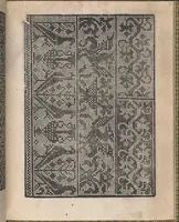 An illustration from Ornamento delle belle & virtuose donne (1554)