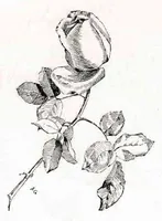 Picture 12 of 19 from Sixth Annual Exhibition of the Paint and Clay Club 1887 (1887), leaf 36