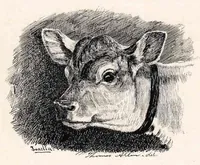 An illustration from Fourth Annual Exhibition of the Paint and Clay Club (1885)