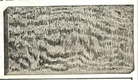An illustration from Paints varnishes: price wrecker no. 121. (1915)