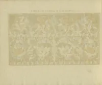 An illustration from Studio delle virtuose dame : doue si vedono bellissimi lauori di punto in aria, reticella, di maglia (1597)