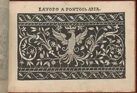 An illustration from Pretioso Gemma Delle Virtuose Donne Doue si vedono bellissimi lauori di punto in aria, reticella, di maglia,piombini, disegnati da Isabella Catanea Parasole.di nuouo dati in luce da Lucchino Gargano, con alcuni altri bellissimi lauori nuoua- mente inuentati. (1600)