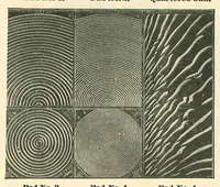 Picture 15 of 16 from Perforated Metallic Graining Tools (1890), leaf 20