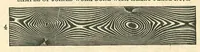 An illustration from Perforated Metallic Graining Tools (1890)