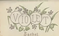 Picture 8 of 10 from Peterson's Magazine January to June 1888 [Fashion and Fancy work pages] (1888), leaf 104