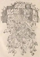 Picture 5 of 6 from Petri Andreæ Matthioli Senensis medici, Commentarii in sex libros Pedacii Dioscoridis Anazarbei De medica materia (1565), leaf 1296