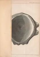 An illustration from Philosophical transactions of the Royal Society of London (1666)