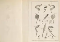 An illustration from Philosophical transactions of the Royal Society of London (1666)