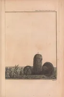 Picture 3 of 8 from Philosophical transactions of the Royal Society of London (1666), leaf 263