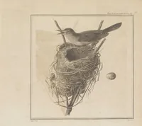 An illustration from Philosophical transactions of the Royal Society of London (1666)