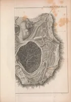 An illustration from Philosophical transactions of the Royal Society of London (1666)
