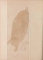 Picture 5 of 6 from Philosophical transactions of the Royal Society of London (1666), leaf 458