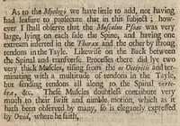 Picture 1 of 2 from Phocæna, or, The anatomy of a porpess, dissected at Gresham Colledge : with a præliminary discourse concerning anatomy, and a natural history of animals .. (1680), leaf 56