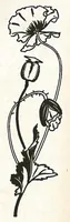 An illustration from Preis-Liste 1902. Laterna Magica, Nebelbild-Apparate, Modell-Dampfmaschinen Heissluft-Motore (1902)