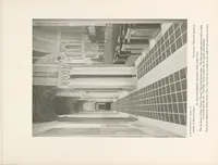 An illustration from Pottry family of burned clay products (1925)