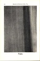 Picture 2 of 18 from Practical painting and how to use the Heath & Milligan paints (1905), leaf 31