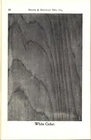 Picture 6 of 18 from Practical painting and how to use the Heath & Milligan paints (1905), leaf 41