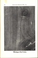 Picture 8 of 18 from Practical painting and how to use the Heath & Milligan paints (1905), leaf 45