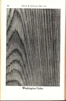 Picture 9 of 18 from Practical painting and how to use the Heath & Milligan paints (1905), leaf 47