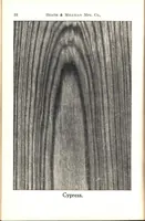 Picture 10 of 18 from Practical painting and how to use the Heath & Milligan paints (1905), leaf 51