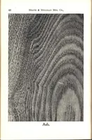 Picture 14 of 18 from Practical painting and how to use the Heath & Milligan paints (1905), leaf 61