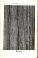 Picture 15 of 18 from Practical painting and how to use the Heath & Milligan paints (1905), leaf 63