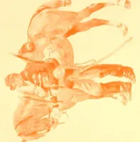 An illustration from Printing and Lithographic Inks (1910)