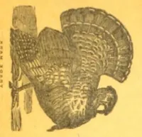 Picture 14 of 14 from Printing and Lithographic Inks (1910), leaf 327