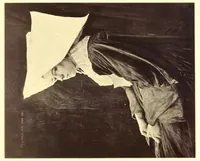 Picture 2 of 14 from Printing and Lithographic Inks (1910), leaf 50