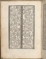 An illustration from Eyn new kunstlich boich dair yn .c. und .XXXVII. Figuren, monster ad `stalen befonden, wie man na der rechter art lauffer werck spansche stiche mit der naelen vort up der ramen und up der laden borden wirckenn sall wilche stalen alltzo somen verbessert synt. (1529)