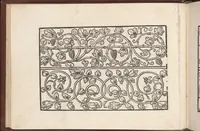 An illustration from Eyn newe kunstlich moetdelboech alle kunstner zo brauchen fur snytzeller wapensticker perlensticker. Etc. Unnd auch fur jonferen und frauwen kunstlich uff das neuwes gefonde allen den genen die upff kunsten verstant haben. (1532)