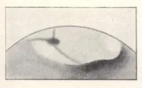 An illustration from Rivista di astronomia e scienze affini, 1909, a. 3, n. 09 (September) (1909)