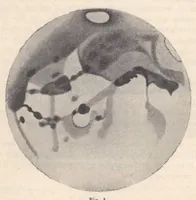 An illustration from Rivista di astronomia e scienze affini, 1909, a. 3, n. 11 (November) (1909)