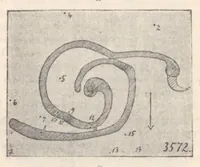 An illustration from Rivista di astronomia e scienze affini, 1910, a. 4, n. 02 (February) (1910)