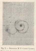Picture 7 of 11 from Rivista di astronomia e scienze affini, 1910, a. 4, n. 02 (February) (1910), leaf 24