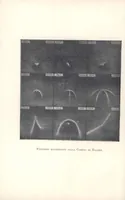 An illustration from Rivista di astronomia e scienze affini, 1910, a. 4, n. 05 (May) (1910)