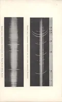 Picture 2 of 10 from Rivista di astronomia e scienze affini, 1910, a. 4, n. 06 (June) (1910), leaf 2