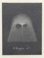 Picture 8 of 18 from Rivista di astronomia e scienze affini, 1910, a. 4, n. 10 (October) (1910), leaf 15