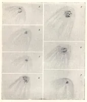Picture 12 of 18 from Rivista di astronomia e scienze affini, 1910, a. 4, n. 12 (December) (1910), leaf 43