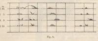 Picture 9 of 12 from Rivista di astronomia e scienze affini, 1911, a. 5, n. 06 (June) (1911), leaf 34