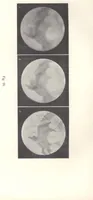 An illustration from Rivista di astronomia e scienze affini, 1911, a. 5, n. 10 (October) (1911)