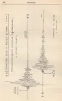 An illustration from Rivista di astronomia e scienze affini, 1913, a. 7, n. 11 (November) (1913)